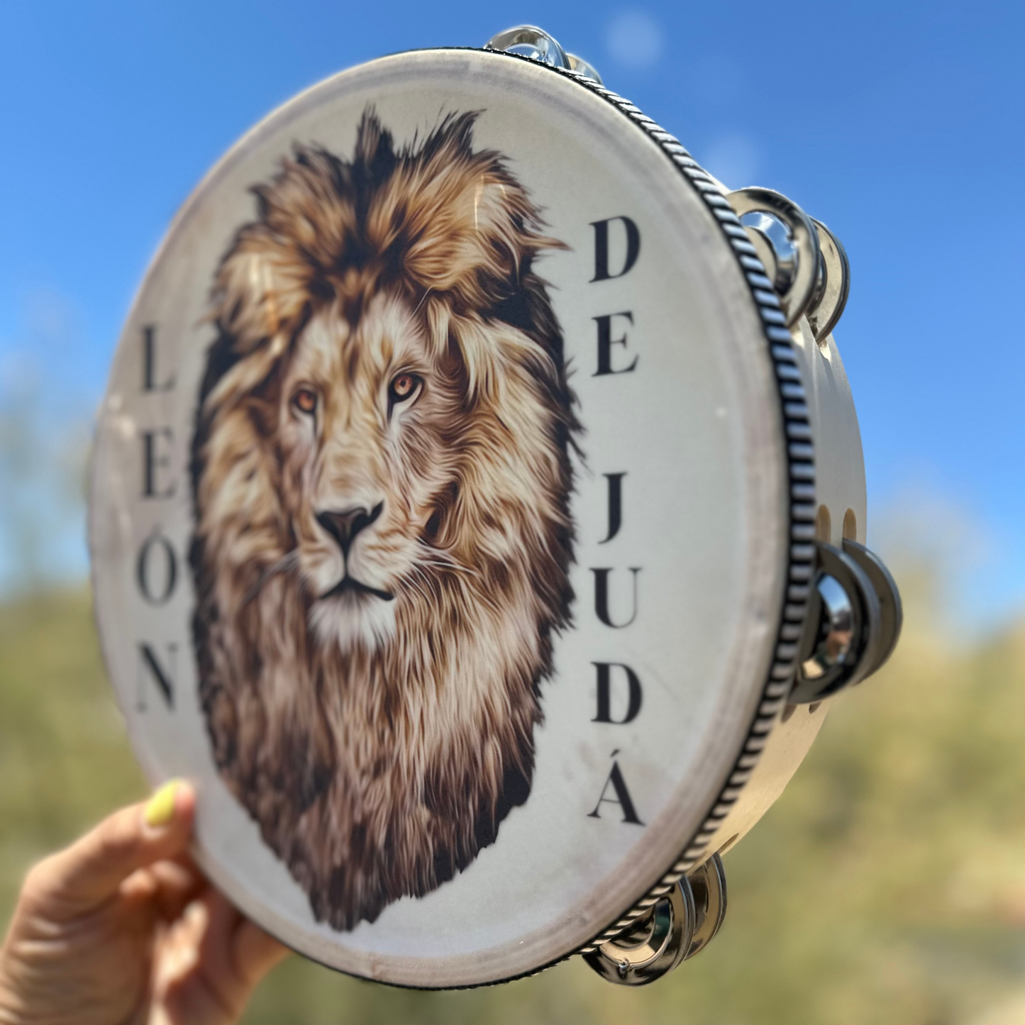 (Lion) Tambourine